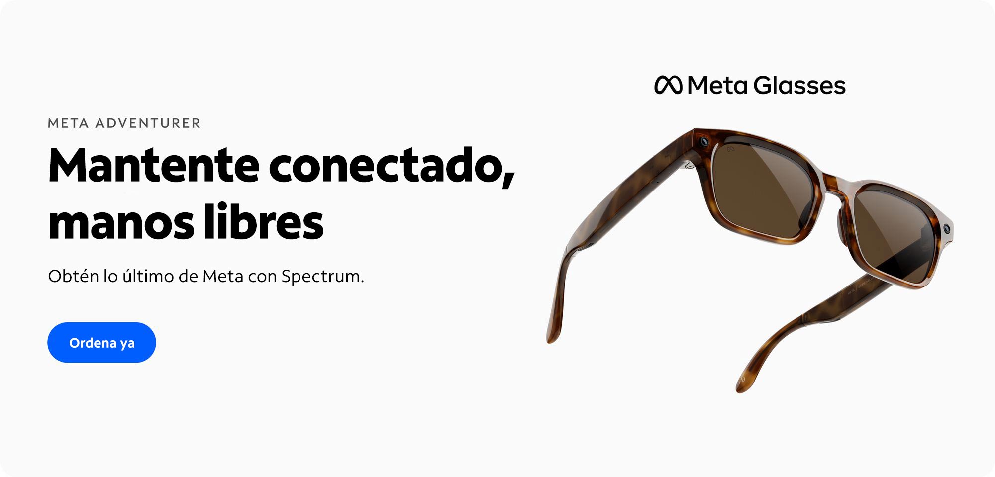 Meta Glasses NPI