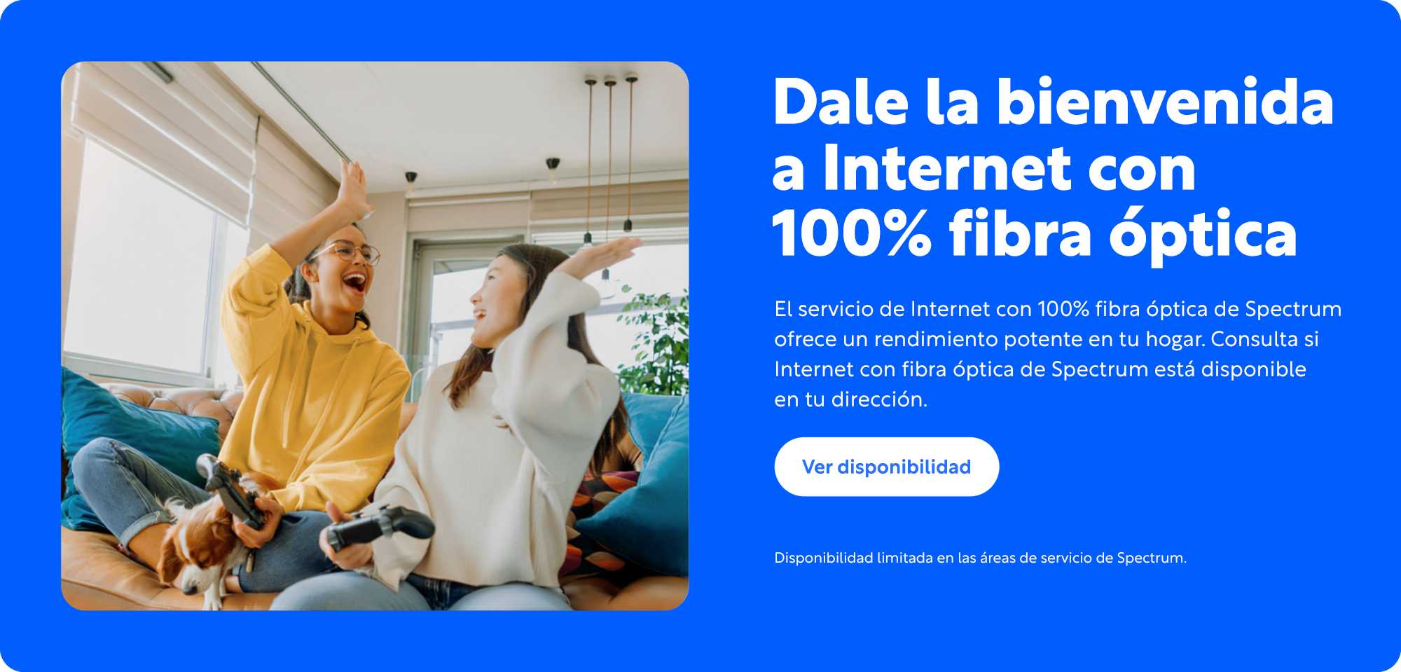 100% Fiber Banner